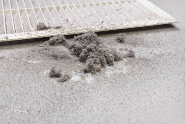 Best Air Duct Mold Removal  in Eunice, LA