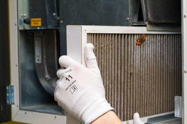 Best Local Air Duct Cleaning Services  in Eunice, LA